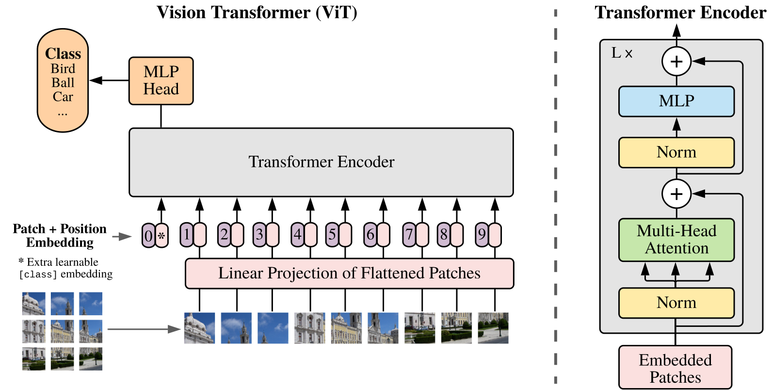 ViT:图像切 patch → 线性 patch embedding + 位置编码 → L 层 Transformer Encoder
