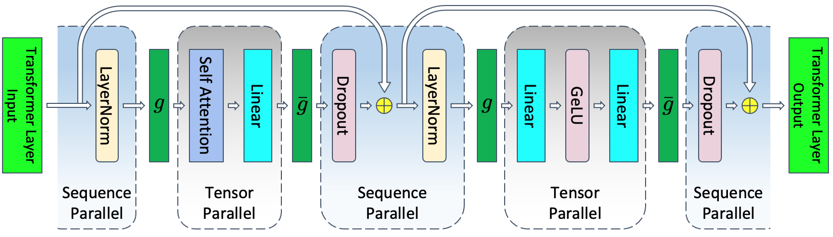 Transformer layer with tensor + sequence parallelism, g and g-bar operators