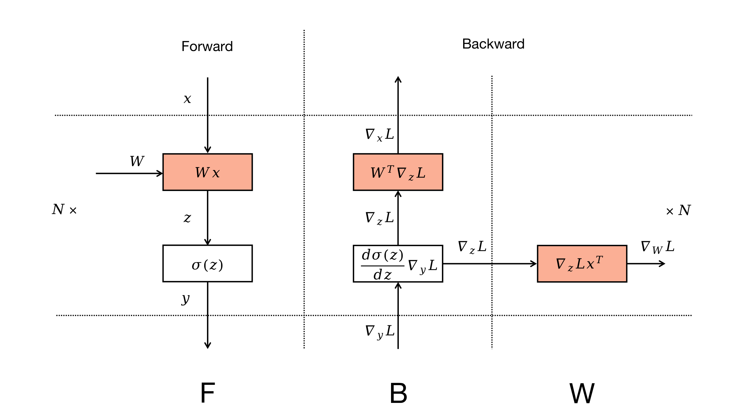 Computation graph of MLP: forward, B (activation grad), W (weight grad)