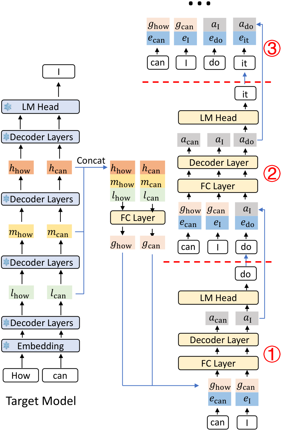 EAGLE-3 推理：三层 feature 融合成 g，再和 embedding 一起过单层 decoder